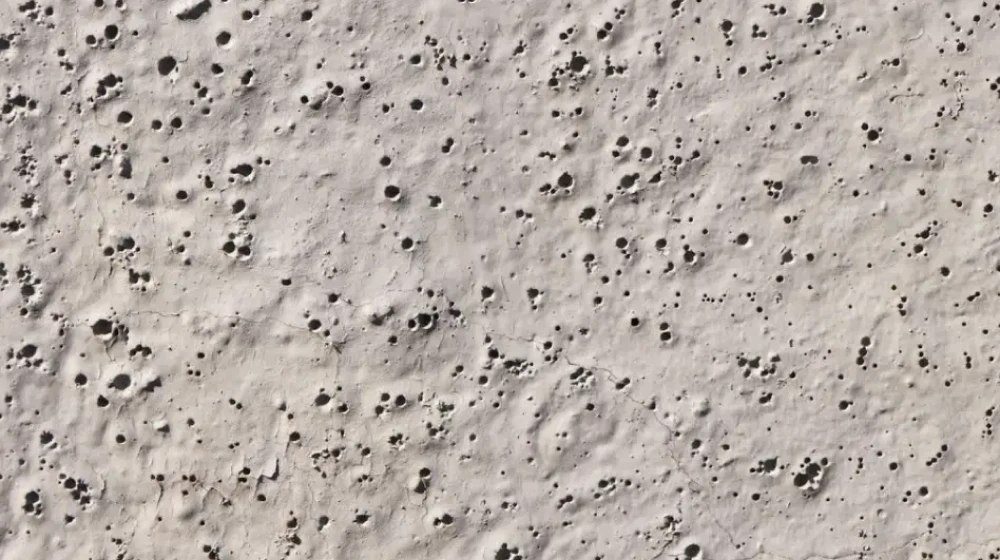 Dense Surface Skin